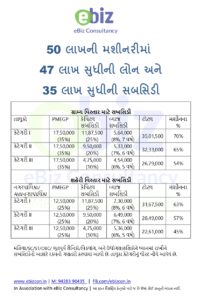 PMEGP Loan and Subsidy 2